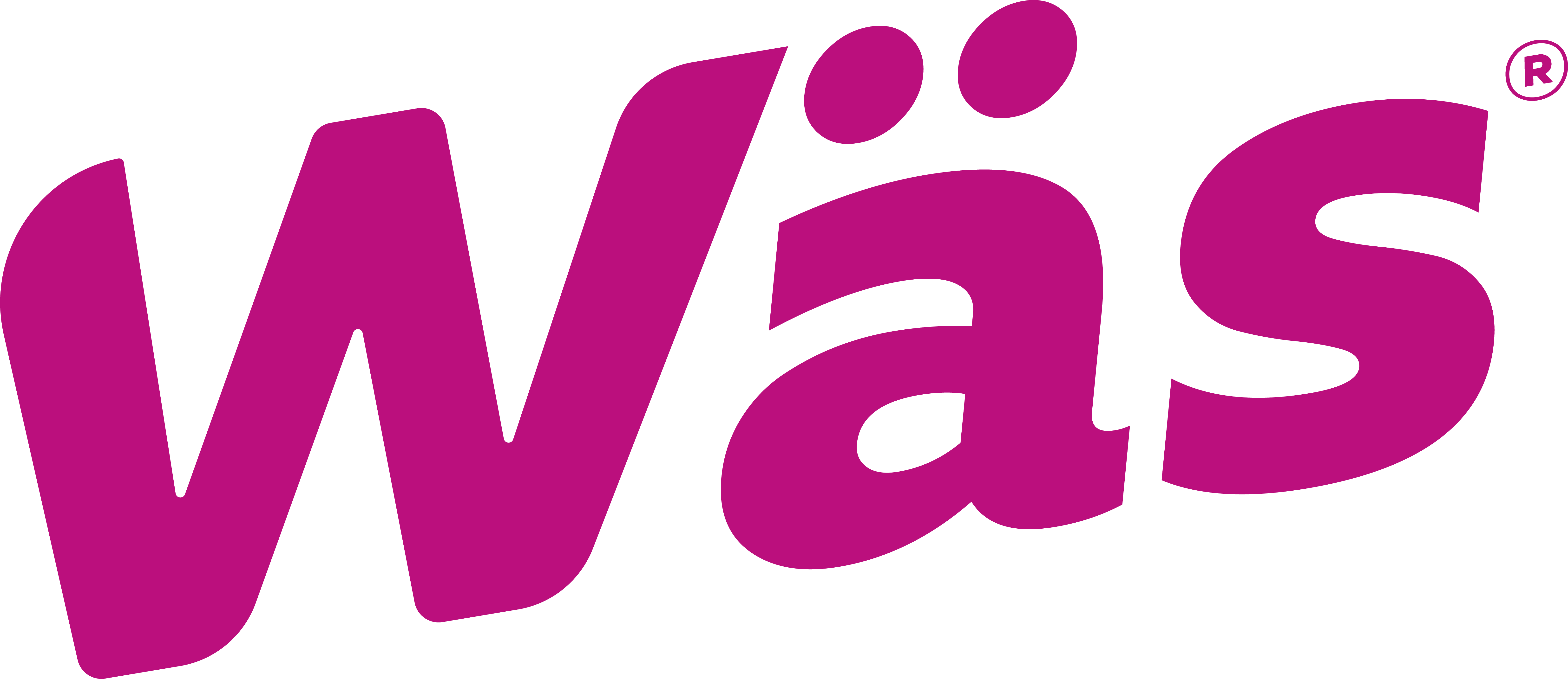 WAS Logo