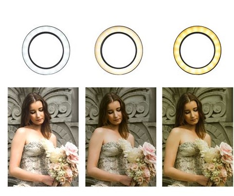 Кольцевая лампа M-33 с пультом на проводе, диаметр 33см, в коробке